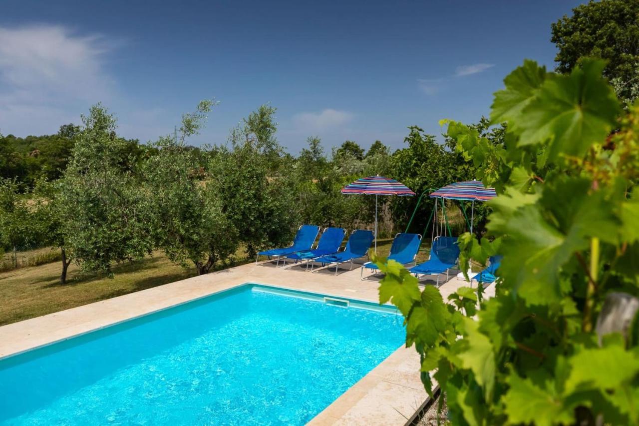 Villa Greis With 4 Bedrooms And Pool In Buje Momjan Extérieur photo