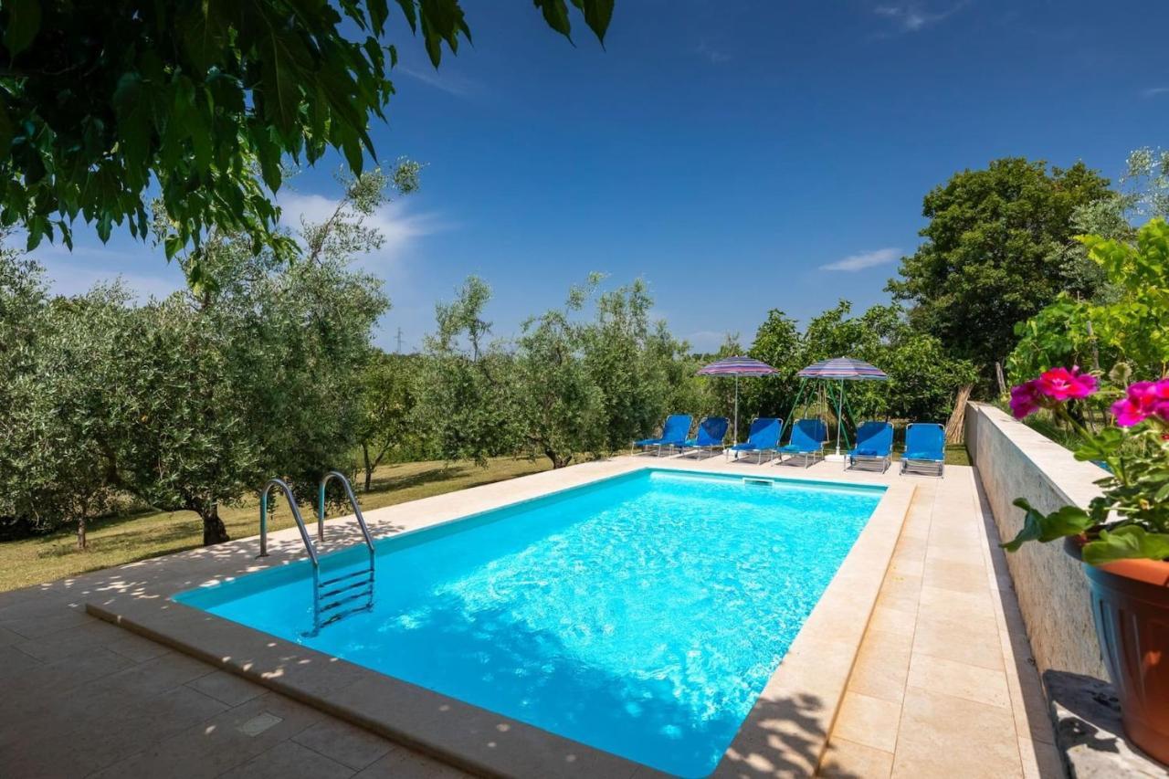 Villa Greis With 4 Bedrooms And Pool In Buje Momjan Extérieur photo