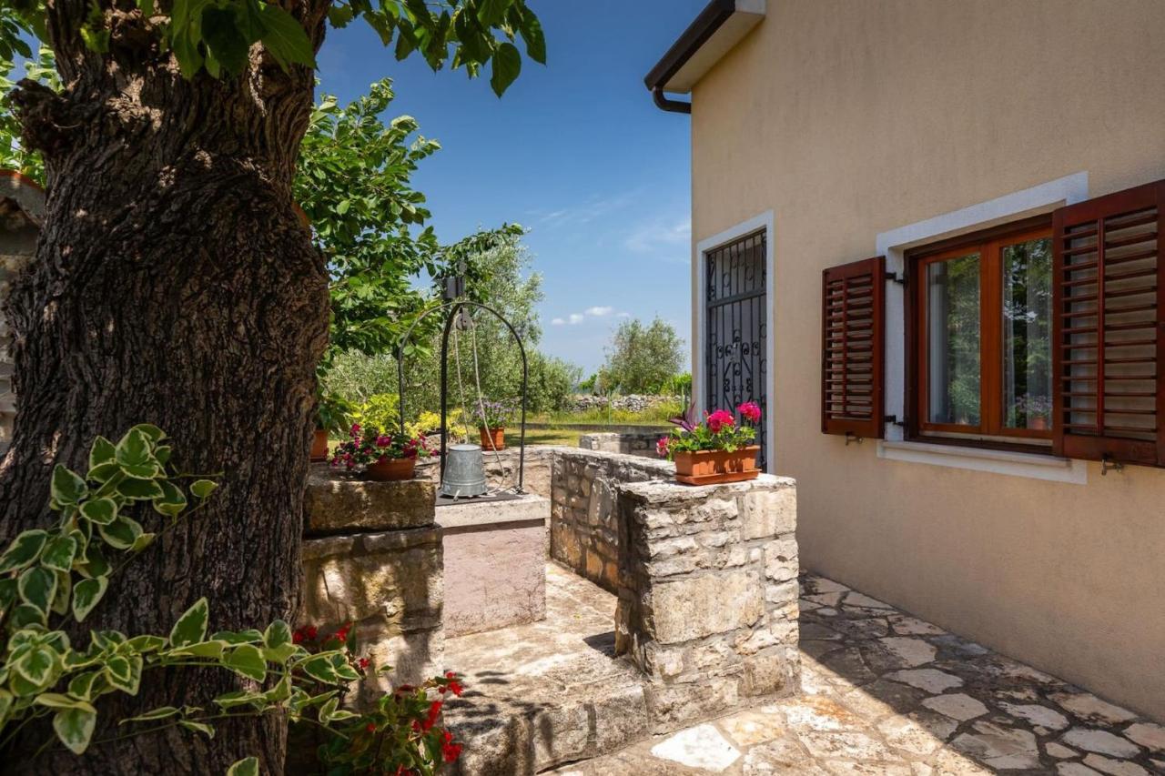Villa Greis With 4 Bedrooms And Pool In Buje Momjan Extérieur photo